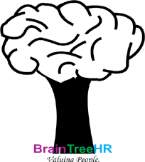 Braintree HR